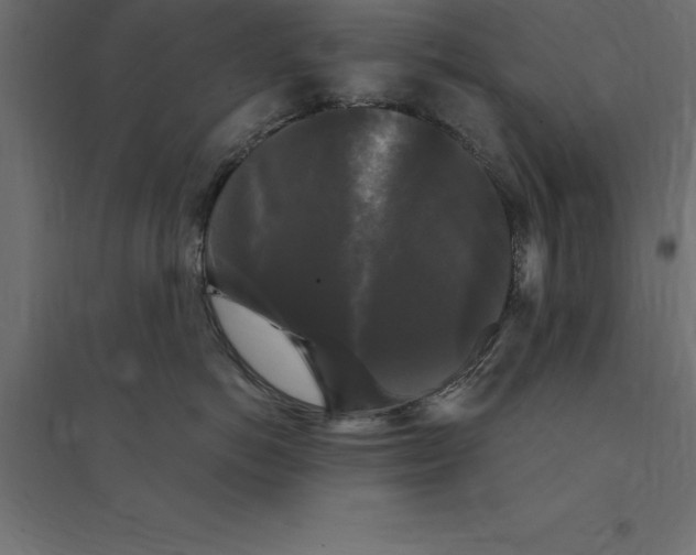 X0000094350766200711241914