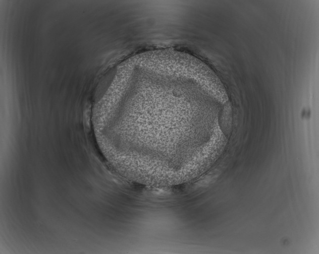 X0000094350768200711241914