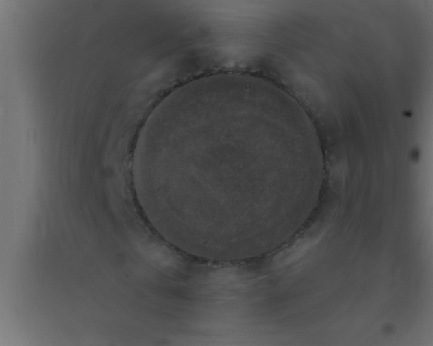 X0000094350769200711241914