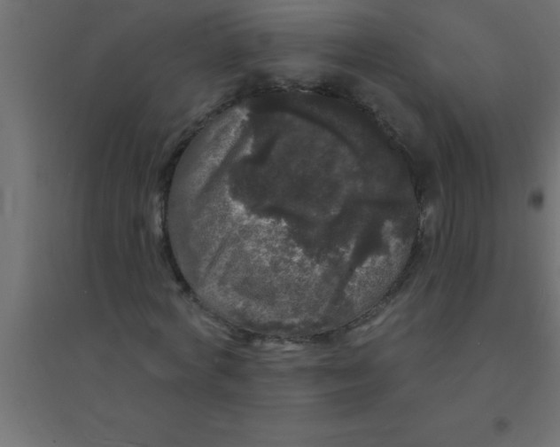 X0000094350772200711241914