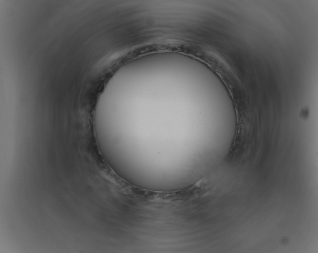 X0000094350773200711241914