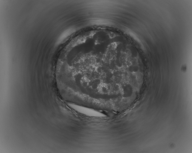 X0000094350775200711241914