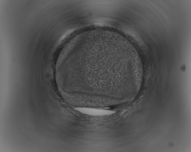 X0000094350776200711241914