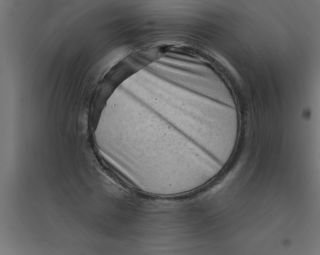 X0000094350777200711241914