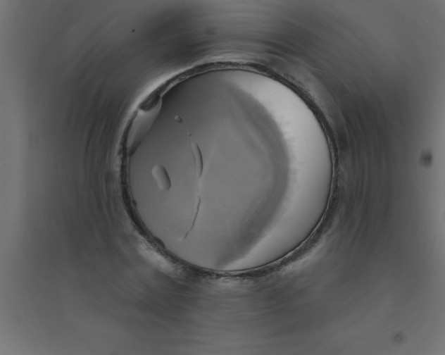 X0000094350779200711241914