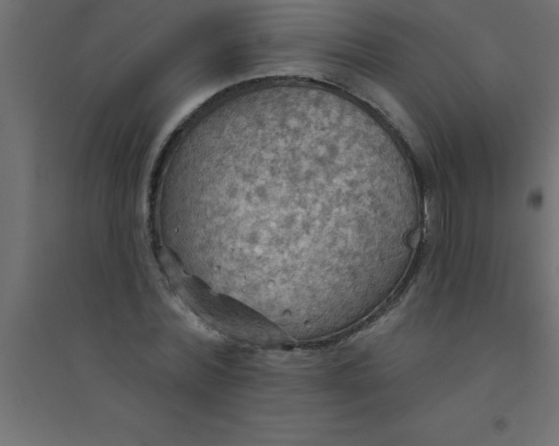 X0000094350780200711241914