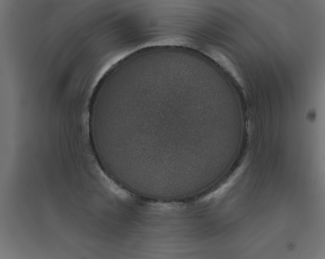 X0000094350781200711241914