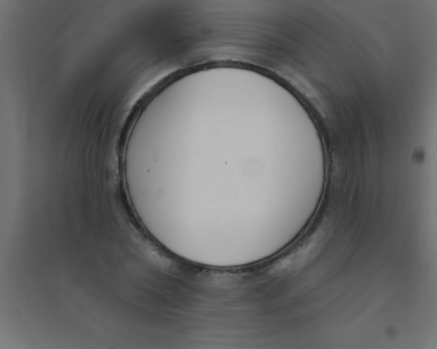 X0000094350782200711241913