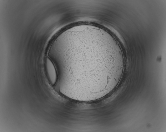 X0000094350783200711241913