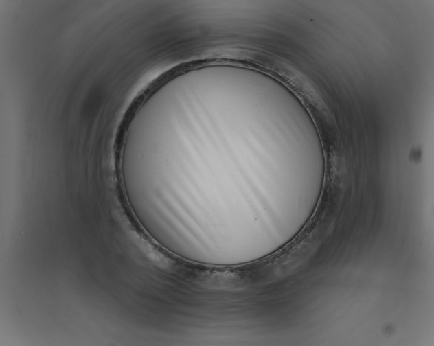 X0000094350784200711241913