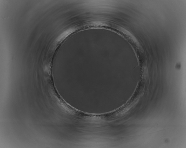 X0000094350785200711241913