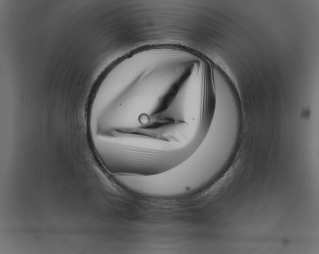 X0000094350789200711241913