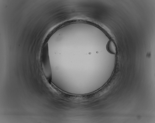 X0000094350791200711241913