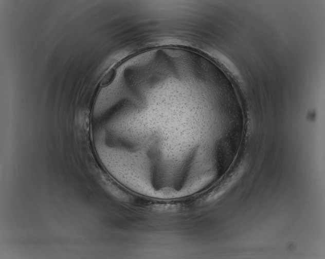 X0000094350793200711241913