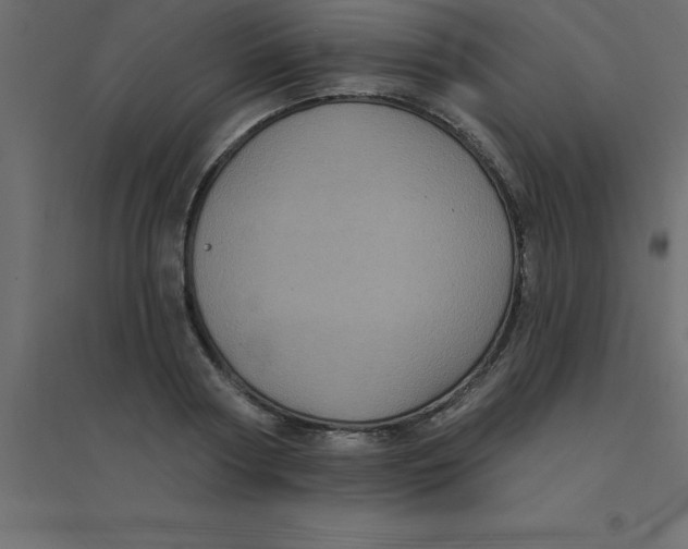 X0000094350794200711241913