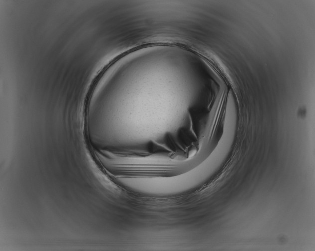 X0000094350795200711241913