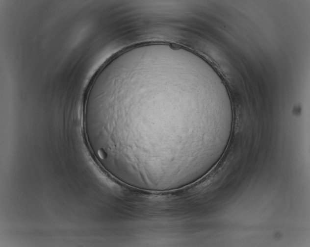 X0000094350796200711241913