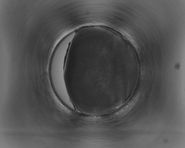 X0000094350797200711241913