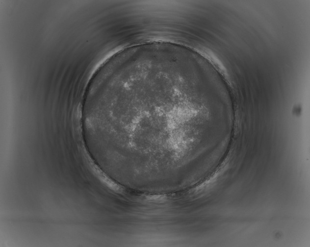 X0000094350798200711241913