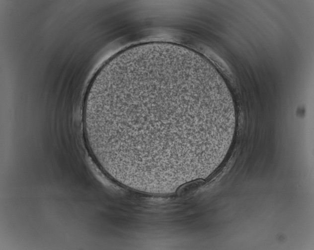 X0000094350800200711241913