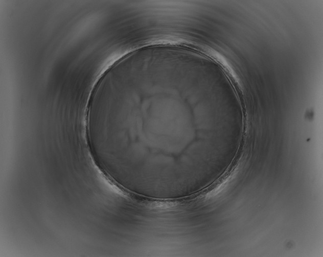 X0000094350802200711241913