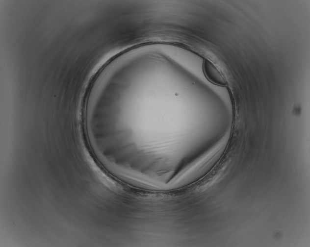 X0000094350803200711241913