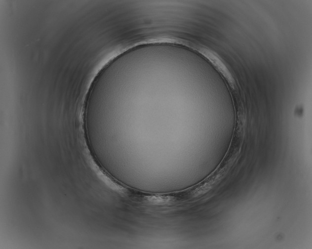 X0000094350805200711241913