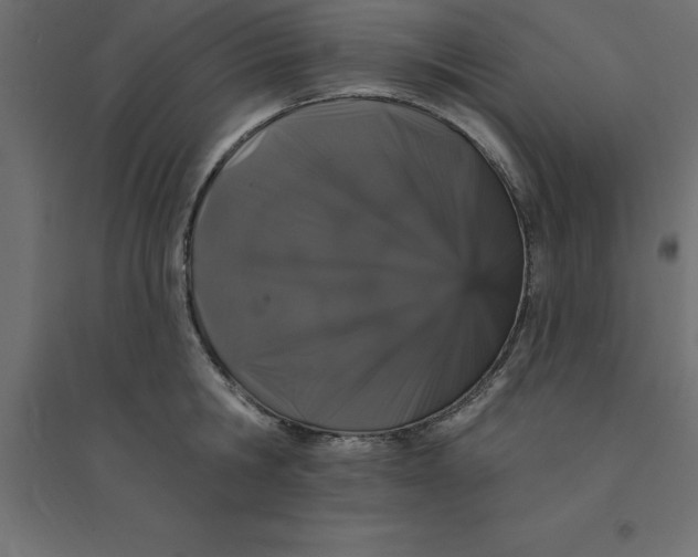 X0000094350806200711241913