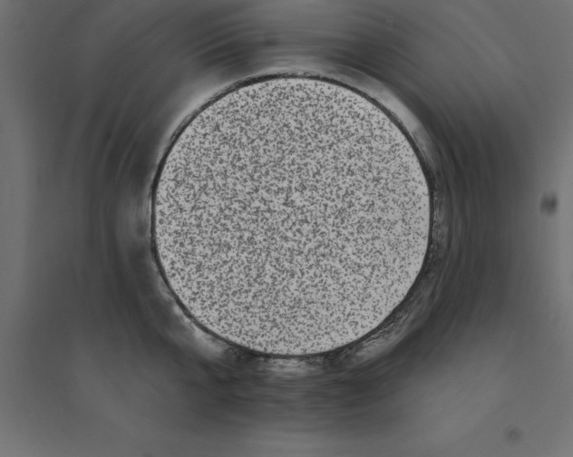 X0000094350807200711241913