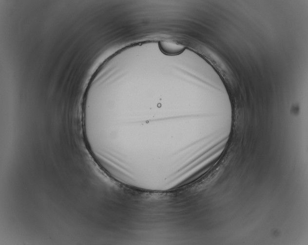 X0000094350808200711241913