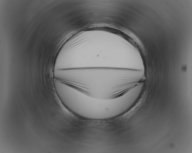 X0000094350809200711241913