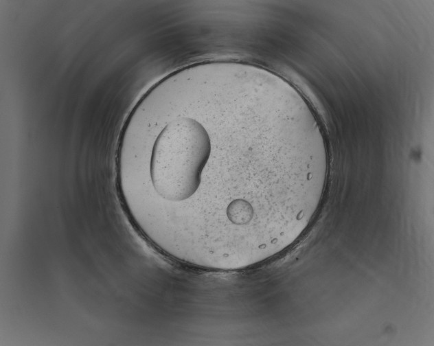 X0000094350810200711241913