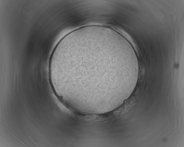 X0000094350811200711241913