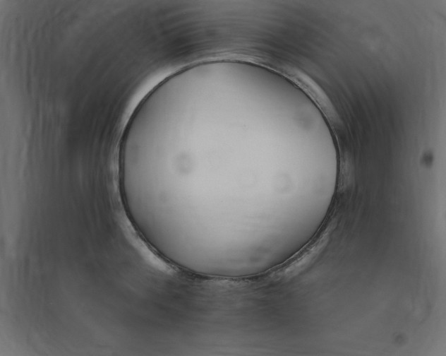 X0000094350812200711241913