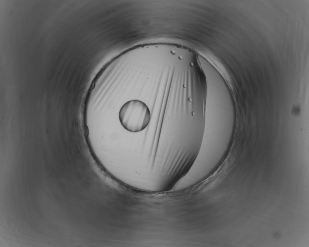 X0000094350813200711241913