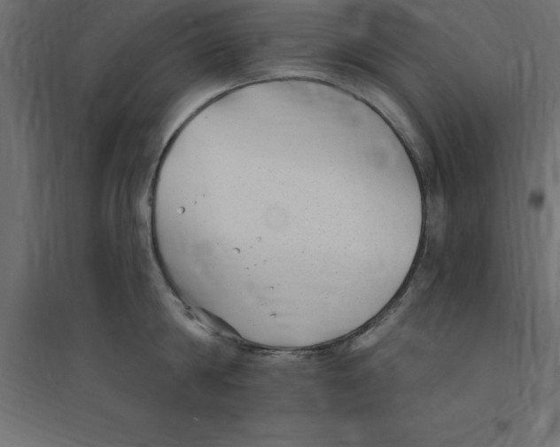 X0000094350814200711241913