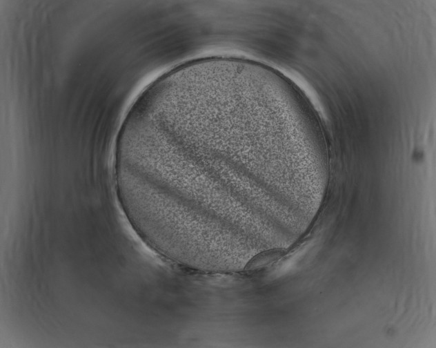 X0000094350815200711241913