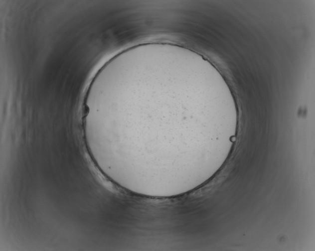 X0000094350816200711241913