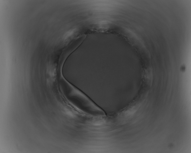 X0000094350818200711241912