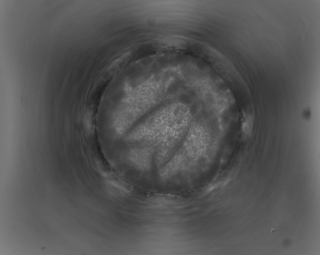 X0000094350819200711241912