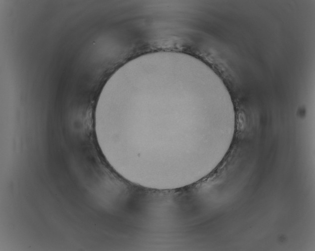 X0000094350820200711241912