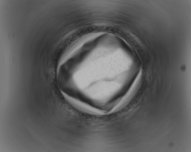 X0000094350821200711241912