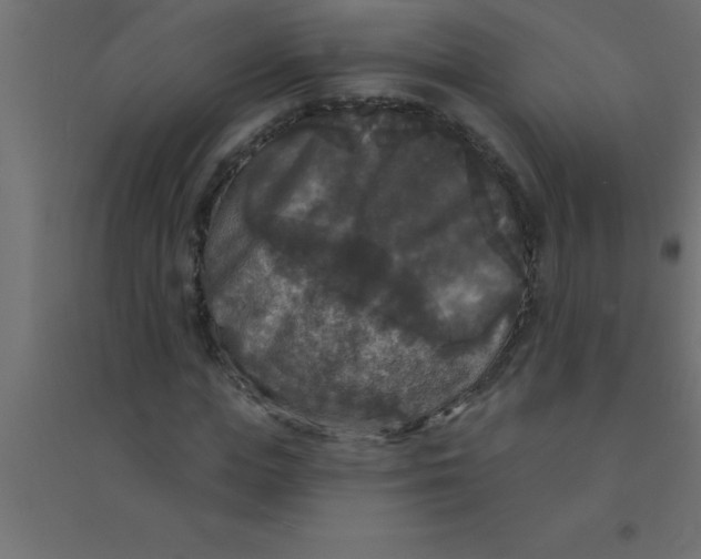 X0000094350823200711241912