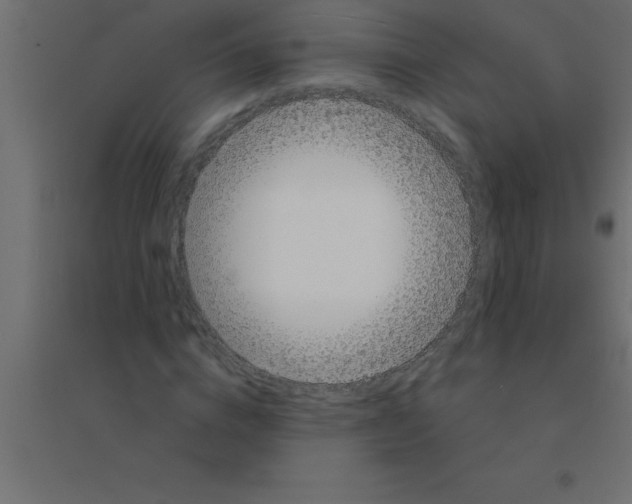 X0000094350824200711241912