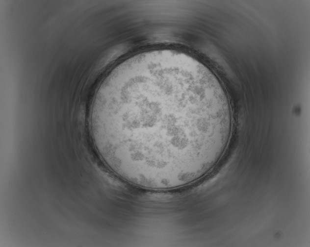 X0000094350825200711241912