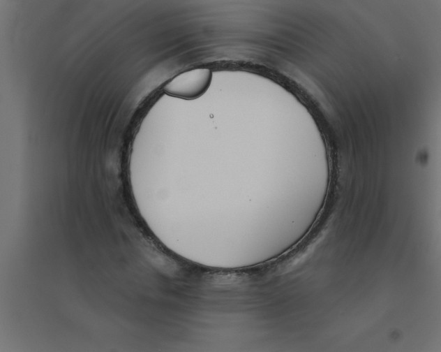 X0000094350826200711241912