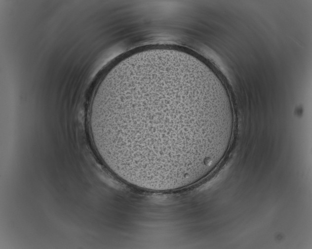 X0000094350827200711241913