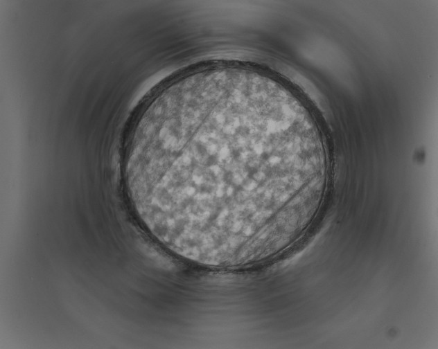 X0000094350829200711241913