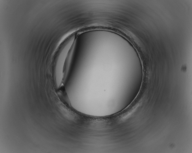 X0000094350830200711241913