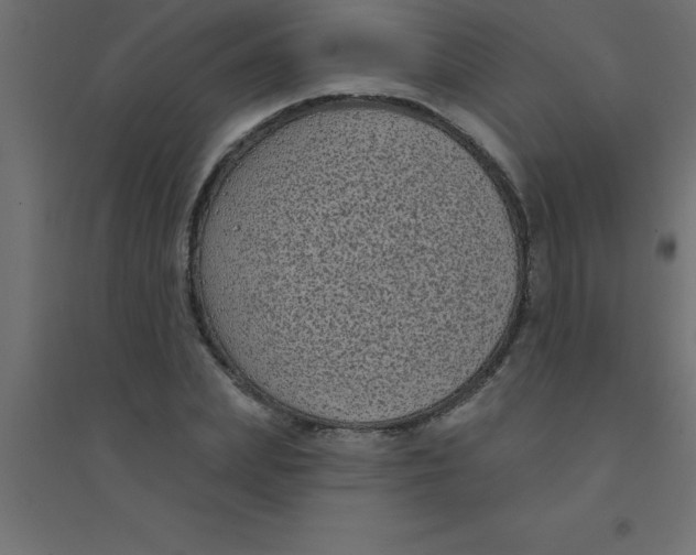 X0000094350831200711241913